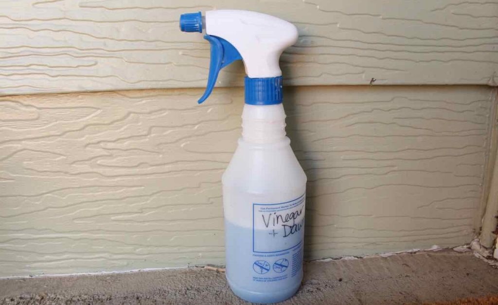 Image providing example of cleaning solution for cleaning the kitchen sink