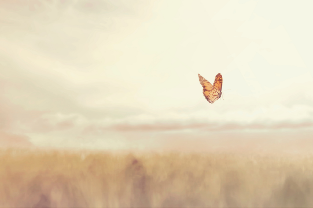 Butterly picture to represent thyroid which is called the butterfly gland
